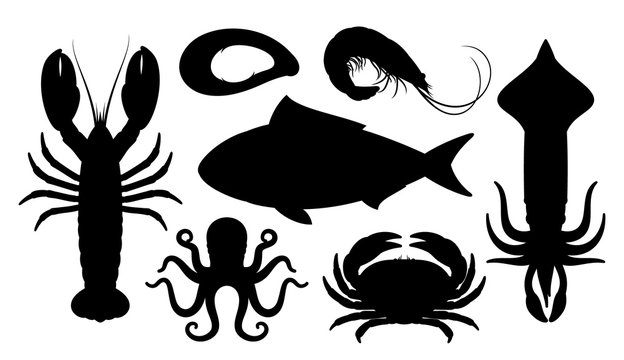 Seafood Silhouettes Isolated on White
