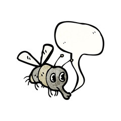 cartoon fly