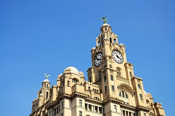 Fototapeta na wymiar The Royal Liver building, Liverpool.