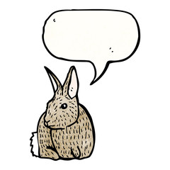 rabbit illustration