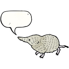 cute shrew illustration