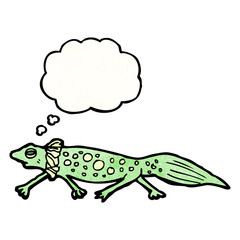 Fototapeta premium cartoon newt