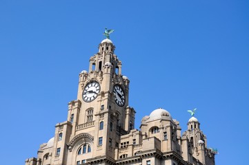 Fototapeta na wymiar The Royal Liver Building, Liverpool.