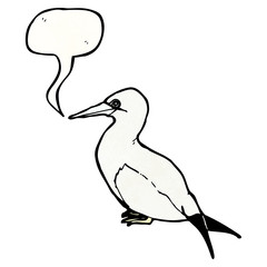 cartoon seagull