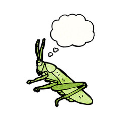 cartoon grasshopper
