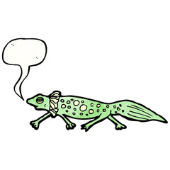 cartoon salamander