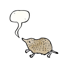 shrew illustration with speech bubble