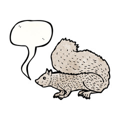 squirrel illustration