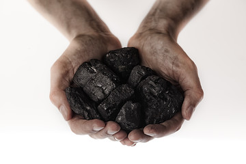 Two dirty hands holding lumps of black coal with the white background
