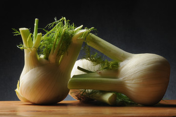 Foeniculum vulgare 회향 Fenkuł włoski Finocchio Funcho Fennel Фенхель обыкновенный Hinojo Vinkel Fenouil commun Fenchel Μάραθο 小茴香 شمرة شائعة © Comugnero Silvana