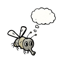 cartoon fly