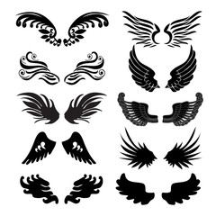wings set in vector