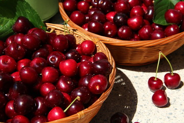 Kirschen im Korb