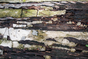 Ruin cement wooden floor