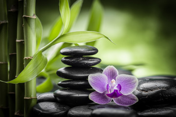 spa concept with zen stones basalt stone bamboo and orchid