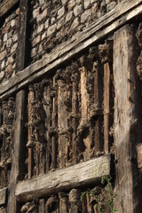 Offener Fachwerkgiebel einer Hausruine in der Brandenburger Altstadt