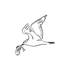 Fototapeta premium doodle seagull with fish
