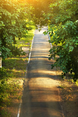 Obraz premium Summer park road