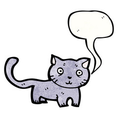 cartoon cat