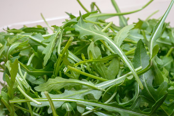 Fresh Rucola