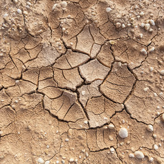 cracked clay ground into the dry season