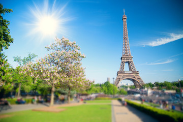 Fototapeta premium summer day the sun shines over the Eiffel Tower symbol of Paris.