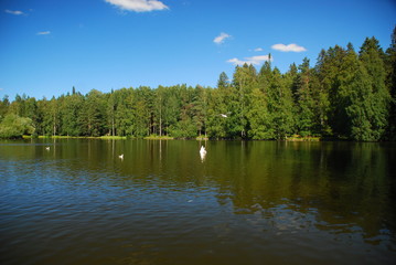 Landscape of a lake in Finland