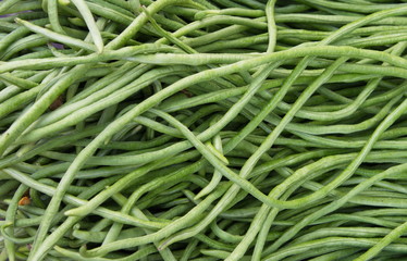 green cowpea .