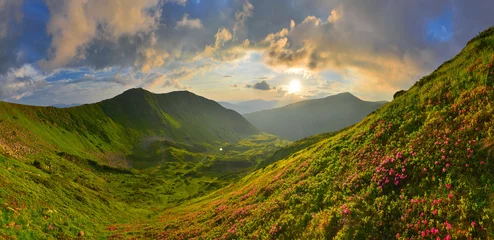 Foto op Plexiglas Mountains and flowers © denis_333