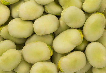 Beans