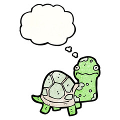cartoon tortoise