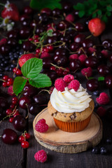 Cupcake and a lot of berries on dark wooden background.