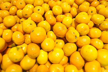 Fresh Oranges on Shelf in Supermarket