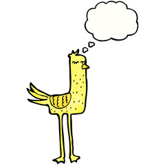 funny cartoon bird