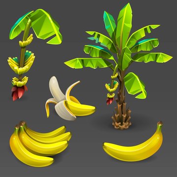 Banana set 2