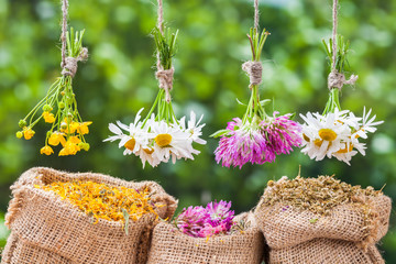 Healing herbs bunches and hessian bags with dried marigold, clov