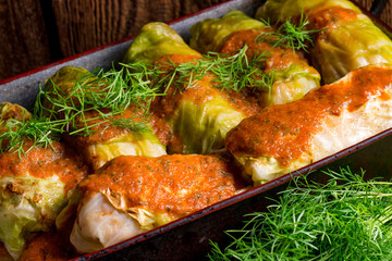 Cabbage rolls out young cabbage