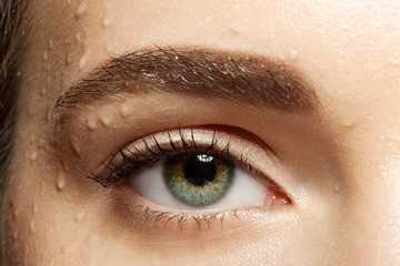 Naklejka premium Close-up eye with black eyelashes and brown eyebrows with water drops