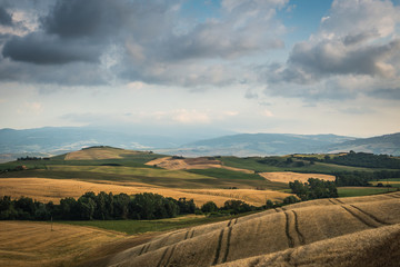 Fototapeta na wymiar summer landscape of Tuscany, Italy.