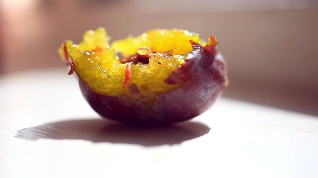 worm in the fruit eats plum