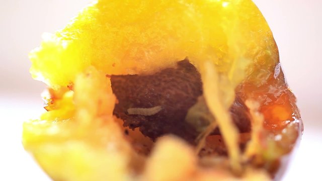 worm in the fruit eats plum