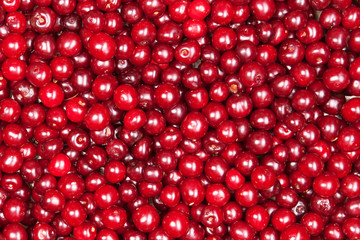 red cherry