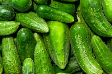 cucumbers