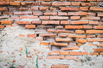 Collapse brick wall