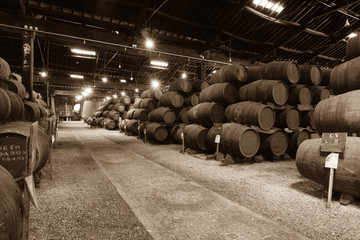 Barrels in the wine cellar