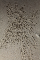 background texture of pebble stone beach