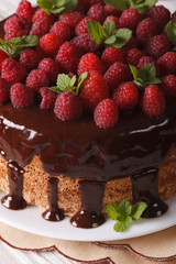 Chocolate raspberry cake with fresh berries close up vertical
