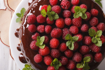 Chocolate raspberry cake close up on a plate. horizontal top view
