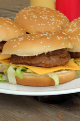burger 05072015