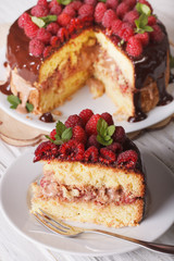 Sliced raspberry sponge cake close up on a white plate. Vertical
